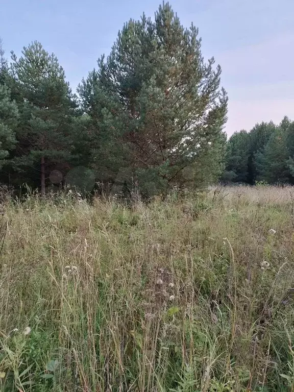 Участок 15,1 сот. (СНТ, ДНП) - Фото 1