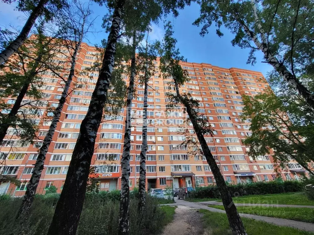 1-к кв. Московская область, Щелково Щелково-3 мкр, ул. Институтская, ... - Фото 1