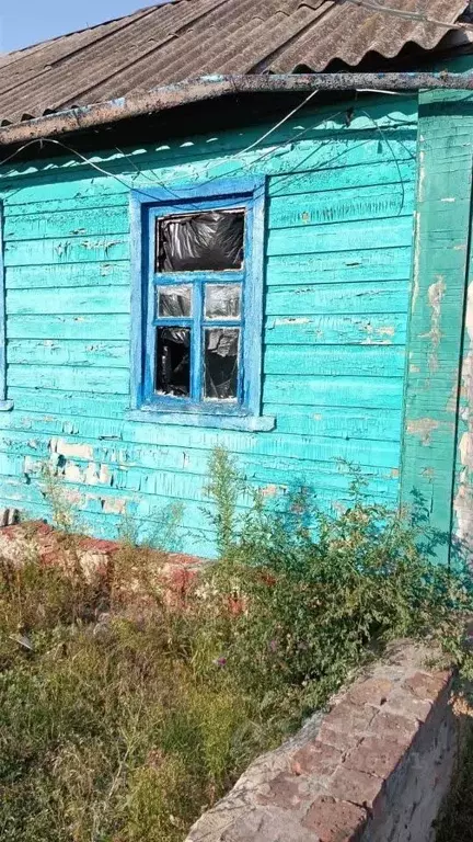 Дом в Белгородская область, Борисовский район, Хотмыжское с/пос, Отруб ... - Фото 1