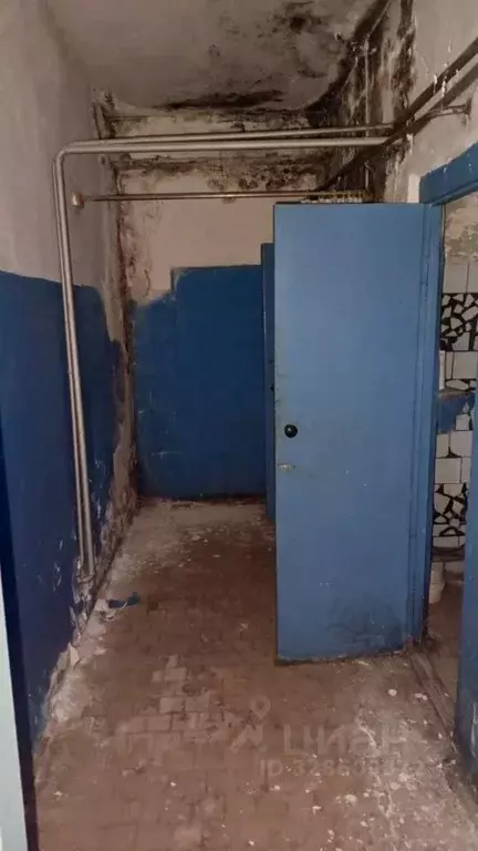 Помещение свободного назначения в Пермский край, Березники ... - Фото 2