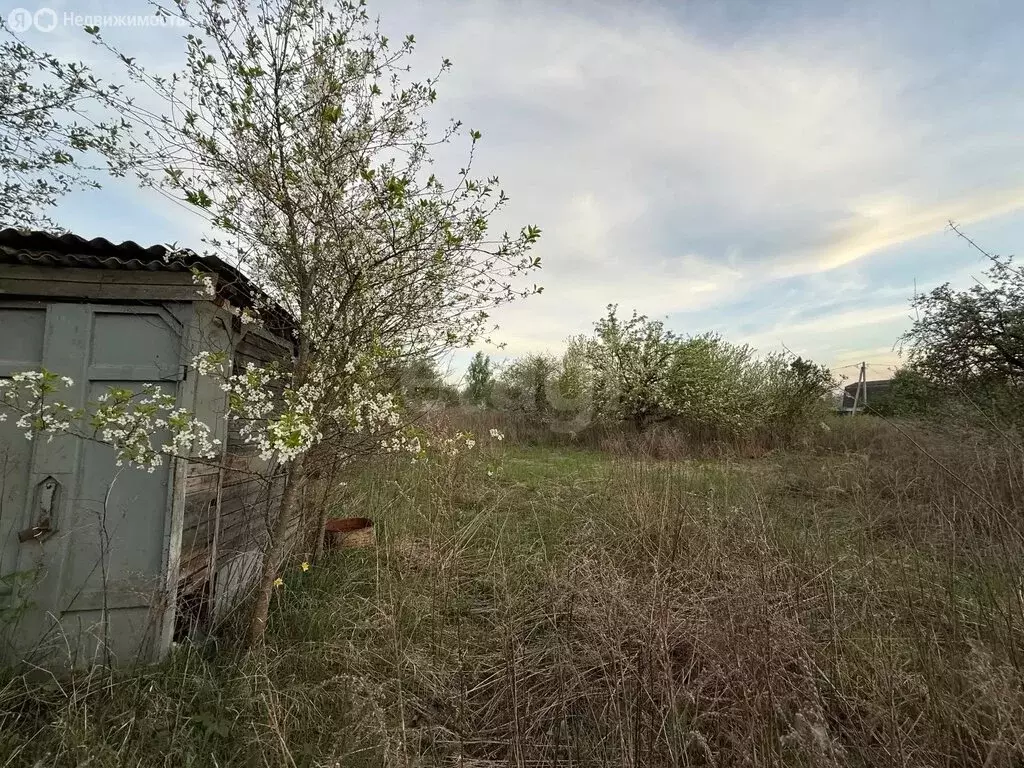 Участок в село Толмачево, СДТ Здоровье (5 м) - Фото 1