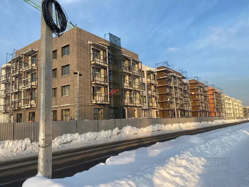 Торговая площадь в Московская область, Мытищи городской округ, д. ... - Фото 2