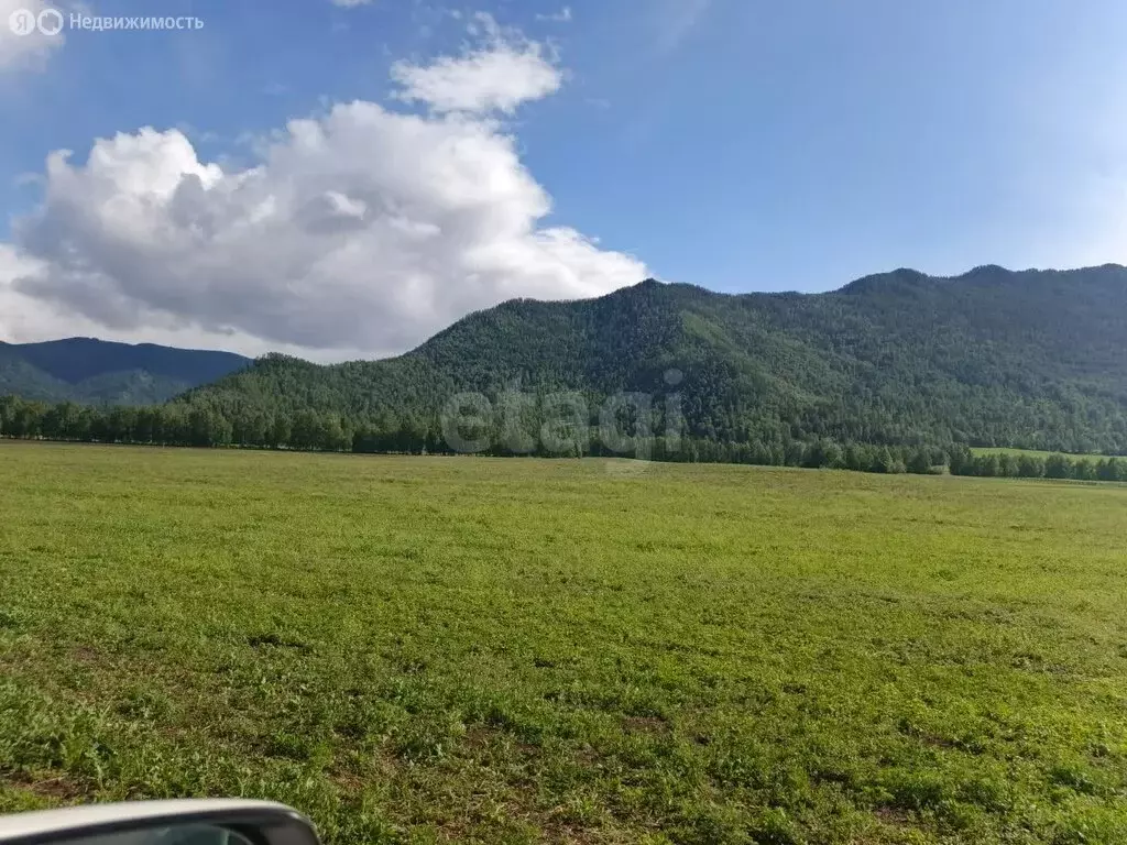 Участок в Усть-Коксинский район, село Мульта (60000 м) - Фото 1
