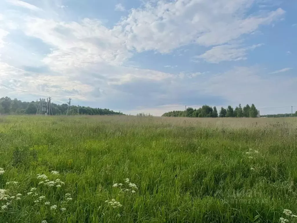 Участок в Московская область, Коломна городской округ, с. Акатьево  ... - Фото 0