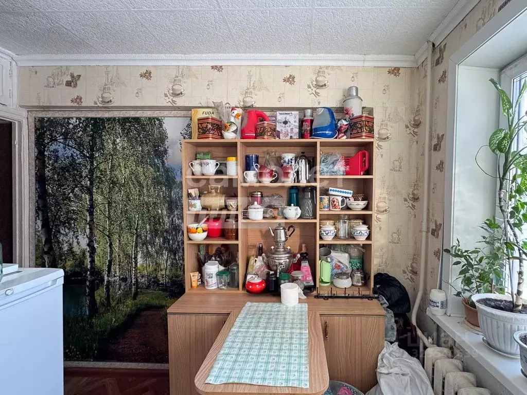 1-к кв. Амурская область, Благовещенск пос. Моховая Падь, Литер кв-л, ... - Фото 1