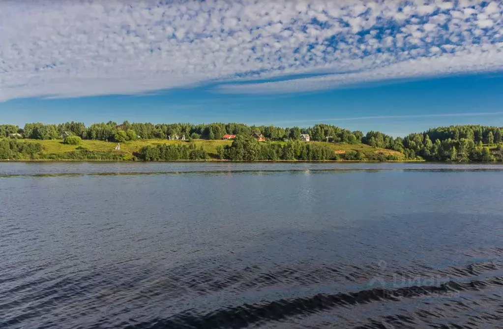 Участок в Ярославская область, Мышкинский муниципальный округ, д. ... - Фото 2