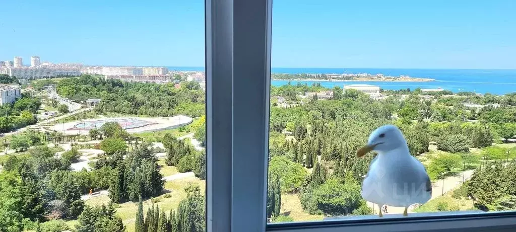 1-к кв. Севастополь ул. Адмирала Фадеева, 48 (34.0 м) - Фото 2