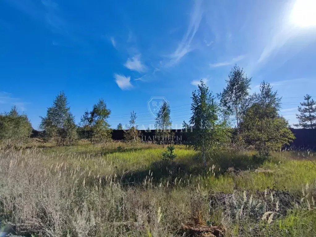 Участок в Владимирская область, Петушинский район, Пекшинское ... - Фото 1