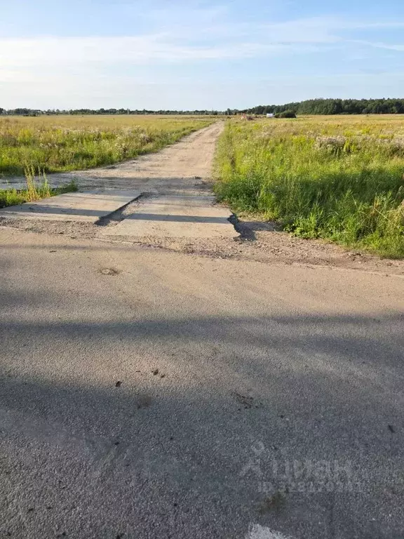 Участок в Калининградская область, Гурьевский муниципальный округ, ... - Фото 1