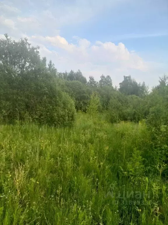 Участок в Московская область, Орехово-Зуевский городской округ, д. ... - Фото 1