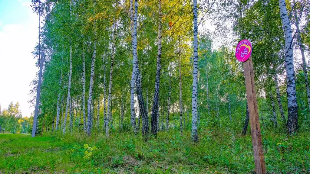 Участок в Тульская область, Заокский район, Демидовское муниципальное ... - Фото 0