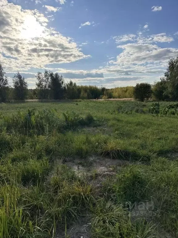 Участок в Нижегородская область, Нижний Новгород с. Большое Мокрое,  ... - Фото 2
