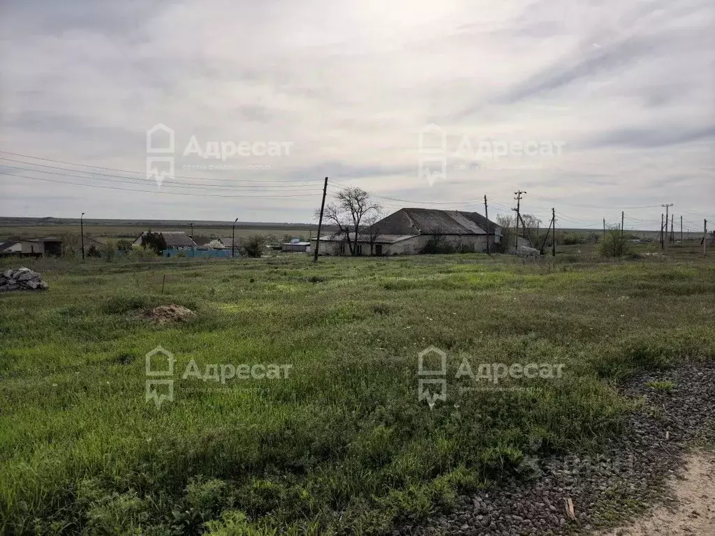 Участок в Волгоградская область, Городищенский район, Орловское с/пос, ... - Фото 2