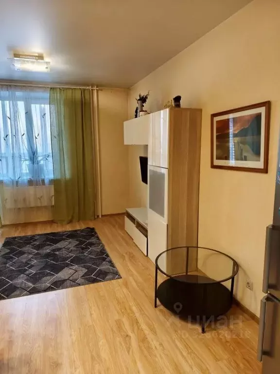 Студия Московская область, Люберцы городской округ, д. Мотяково 65к29 ... - Фото 2