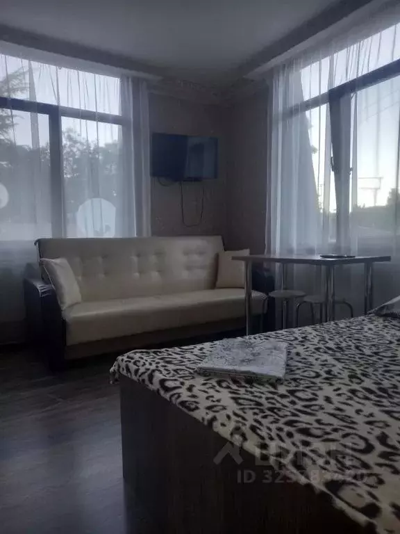 Студия Крым, Ялта ул. Боткинская, 27 (24.0 м) - Фото 2