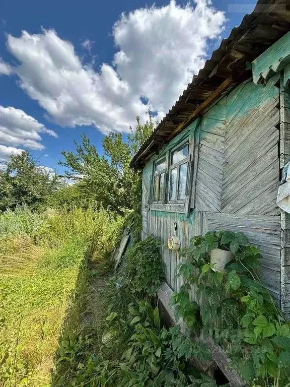 Дом в Самарская область, Жигулевск городской округ, с. Ширяево ул. ... - Фото 2
