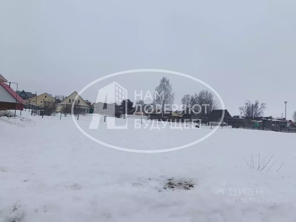 Участок в Пермский край, Чернушинский городской округ, д. Зверево ул. ... - Фото 1
