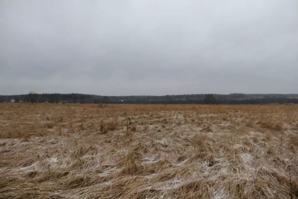 Участок в Московская область, Шаховская муниципальный округ, д. Дор  ... - Фото 1