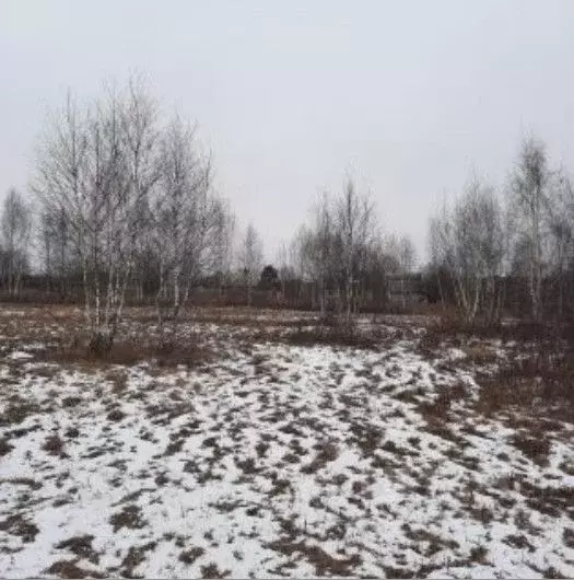 Участок в Московская область, Ступино городской округ, д. Тростники ... - Фото 0