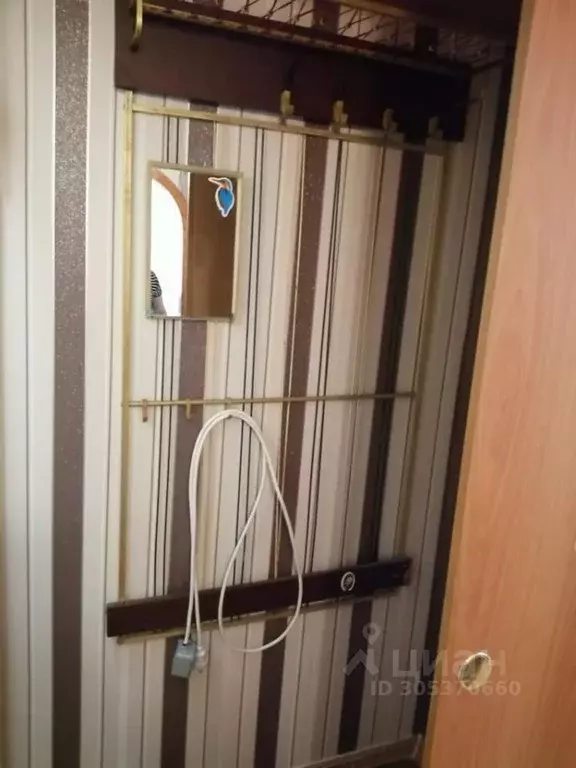 2-к кв. Липецкая область, Липецк ул. Катукова, 29 (52.0 м) - Фото 1