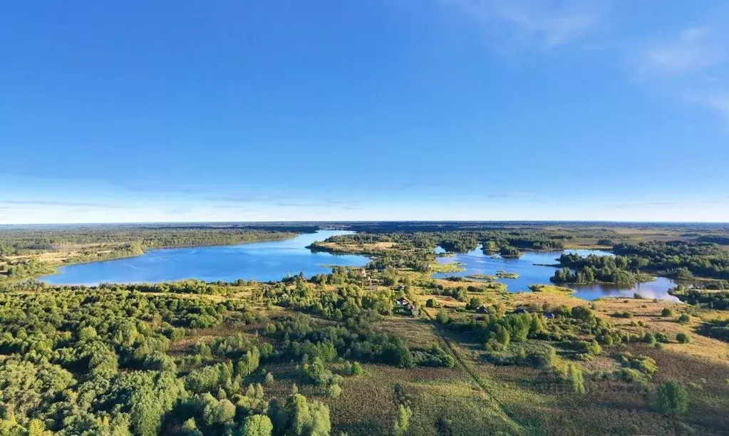 Участок в Тверская область, Вышний Волочек  (95.6 сот.) - Фото 1