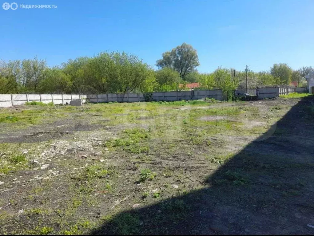 Участок в Бутурлиновка, улица Розы Люксембург (15 м) - Фото 2