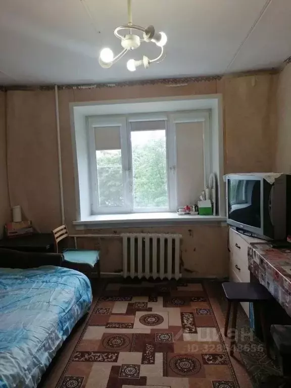 Комната Владимирская область, Владимир ул. Егорова, 3 (12.7 м) - Фото 2