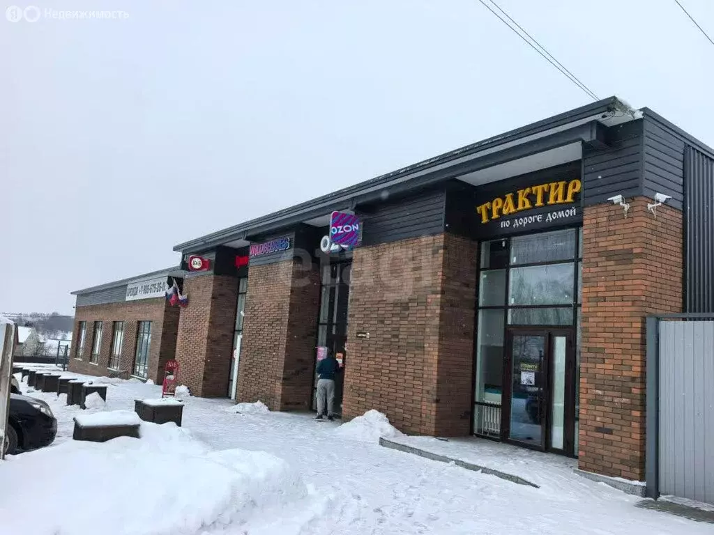 Дом в село Крутой Лог, Садовая улица (110 м) - Фото 1