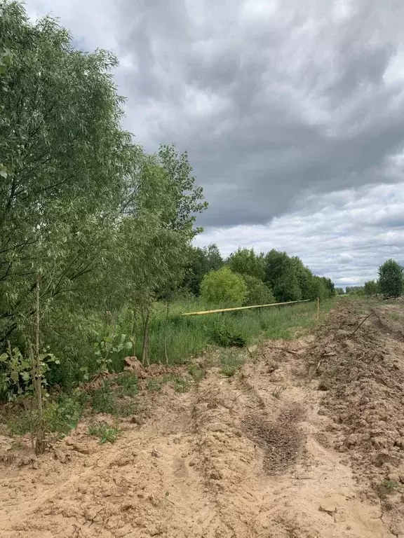 Участок в Нижегородская область, с. Безводное уч77 (13.0 сот.) - Фото 2