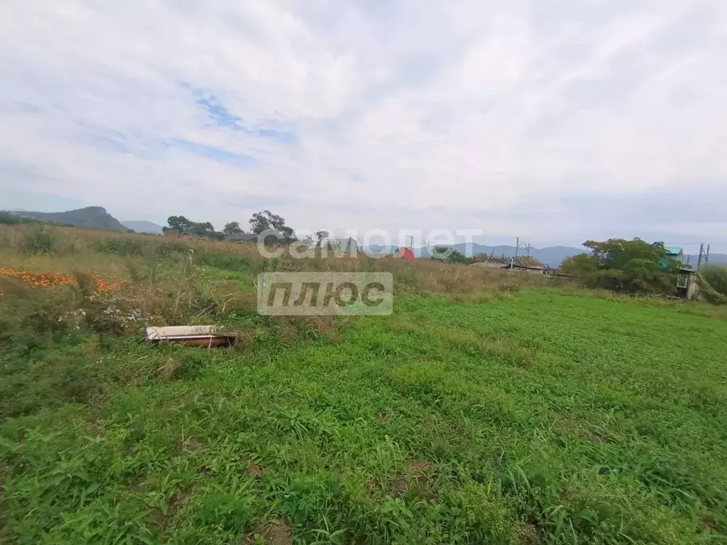 Участок в Приморский край, Партизанский муниципальный округ, с. ... - Фото 2