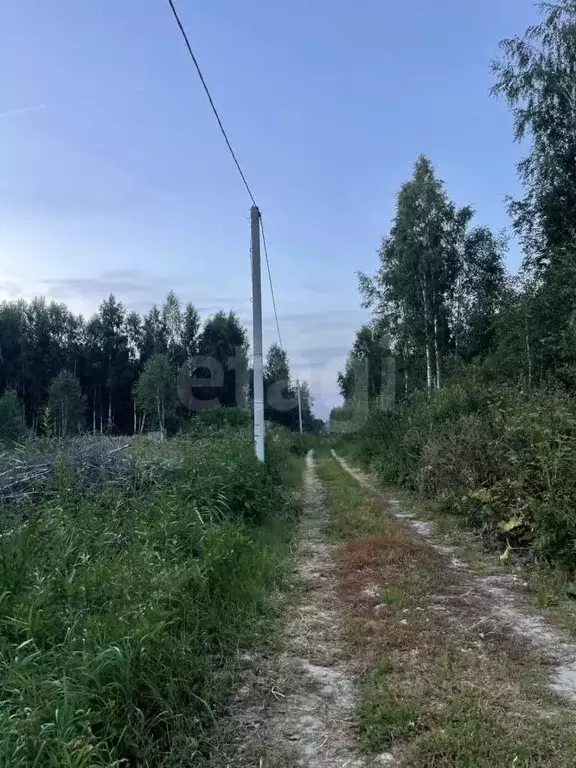 Участок в Тюменская область, Нижнетавдинский муниципальный округ, ... - Фото 1