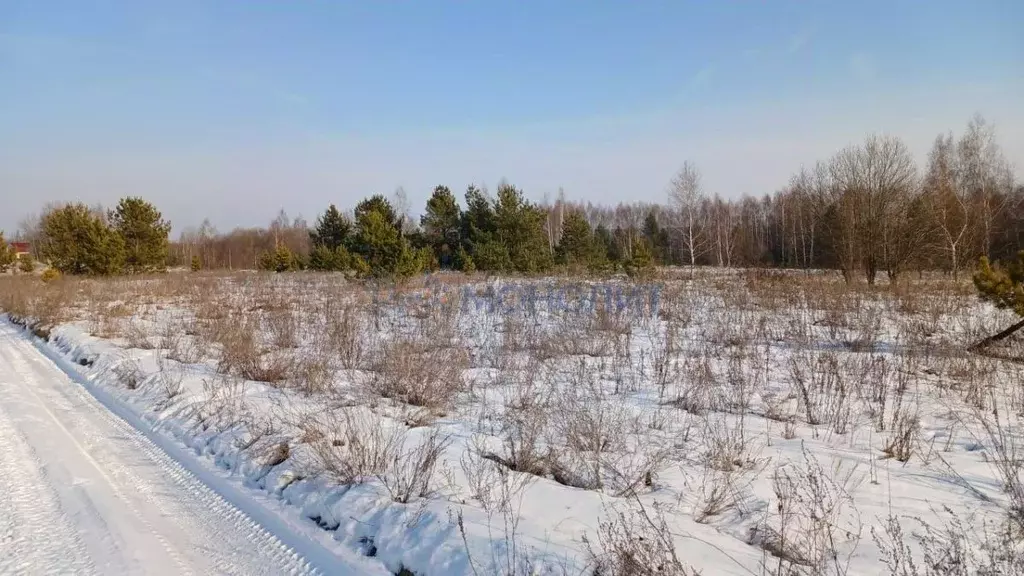 Участок в Нижегородская область, Нижний Новгород Зеленый Город кп,  ... - Фото 2