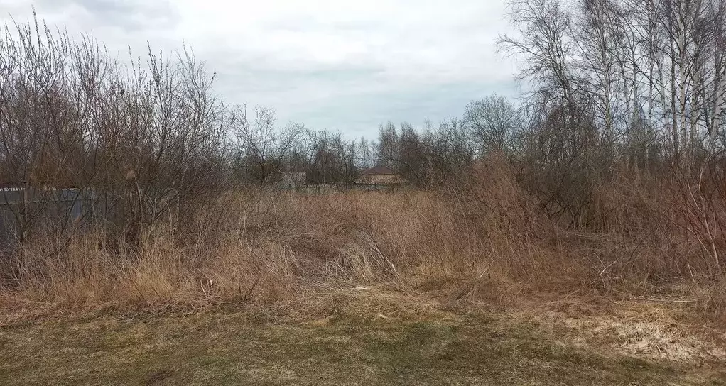 Участок в Московская область, Орехово-Зуевский городской округ, ... - Фото 1