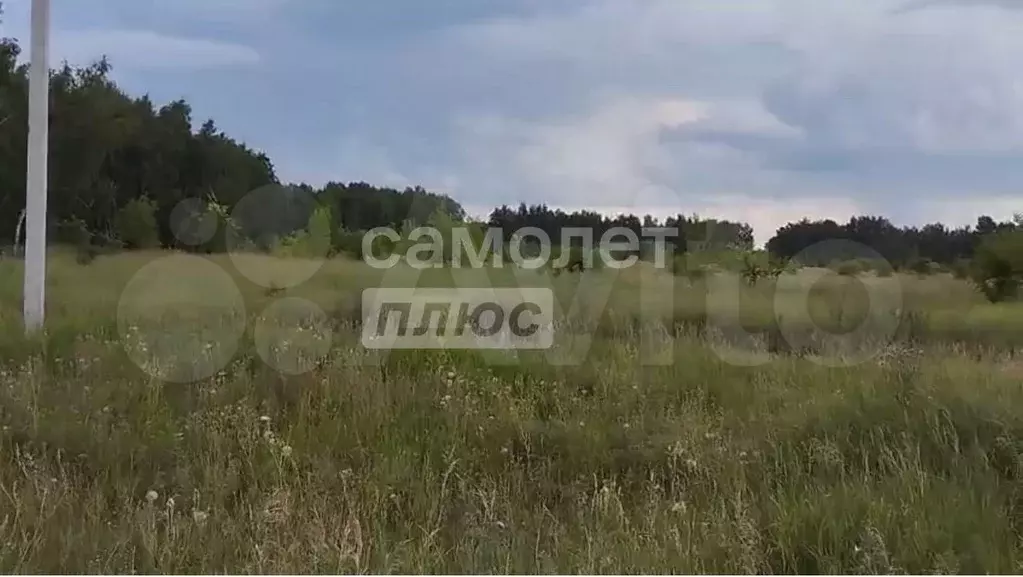 Участок 15 сот. (ИЖС) - Фото 1