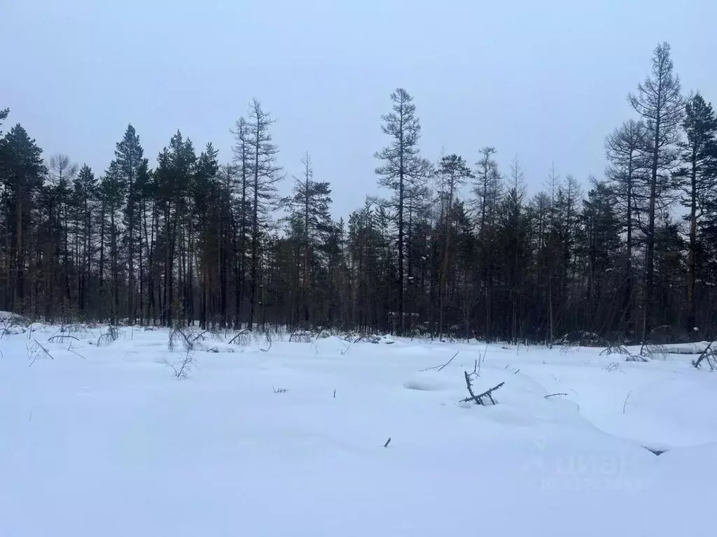 Участок в Саха (Якутия), Нерюнгри МИЗ кв-л,  (12.0 сот.) - Фото 0