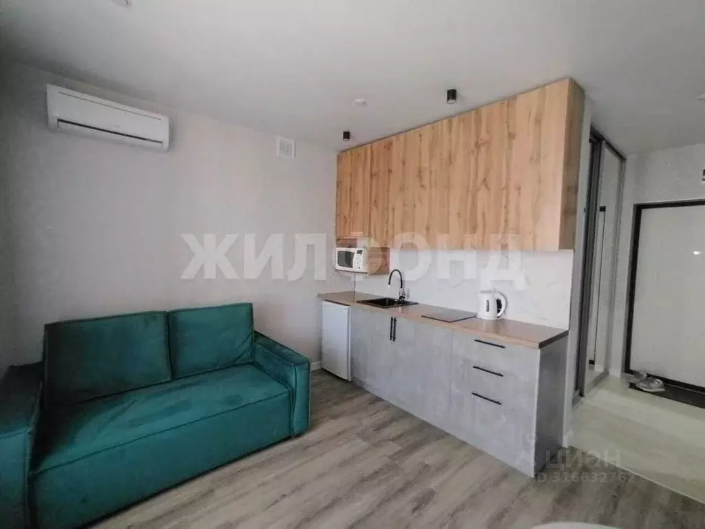 Студия Новосибирская область, Новосибирск Закаменский мкр, 22 (21.0 м) - Фото 0