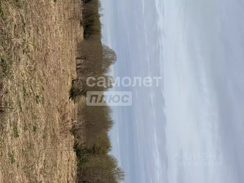 Участок в Ярославская область, Переславль-Залесский муниципальный ... - Фото 2
