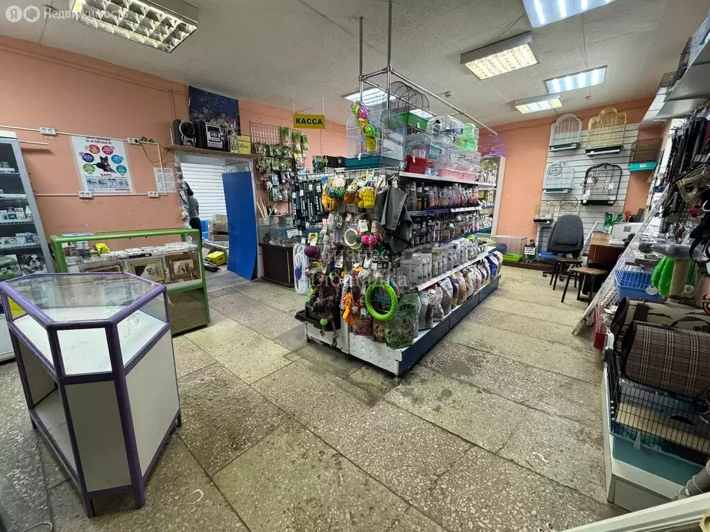 Торговая площадь (56.63 м) - Фото 1