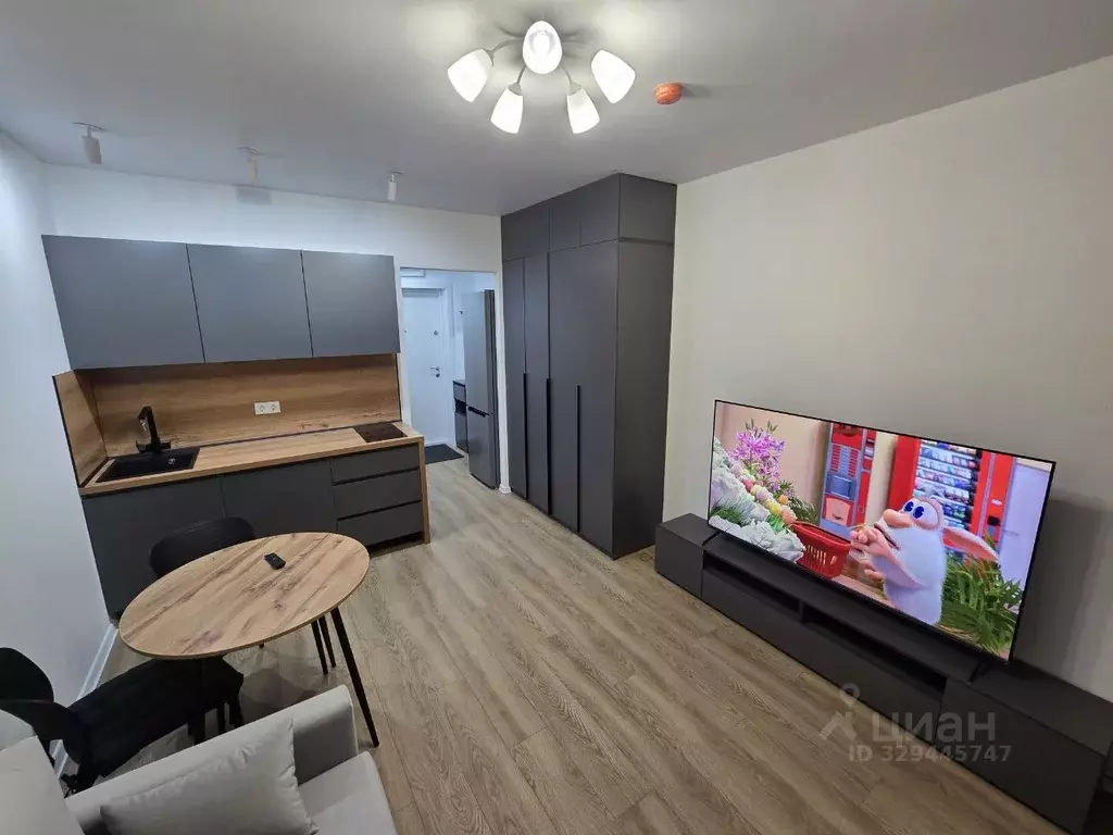 Студия Москва Муравская ул., 38Бк2 (20.0 м) - Фото 2