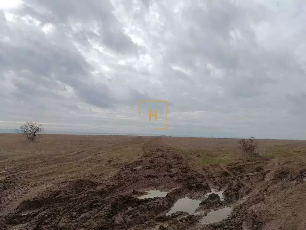 Участок в Крым, Черноморский район, Окуневское с/пос, с. Марьино  ... - Фото 2