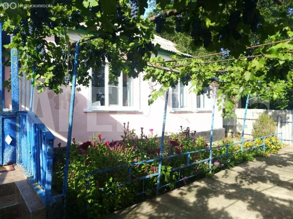 дом в село грачёвка, южная улица, 35 (64 м) - Фото 1