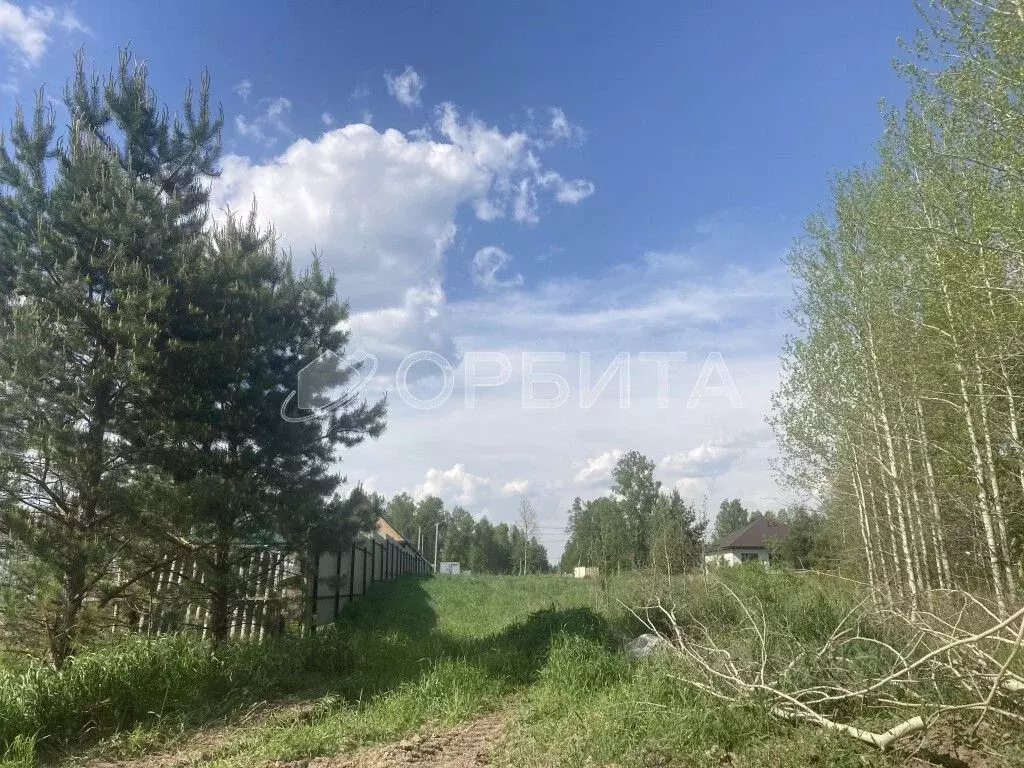 Участок в Тюменская область, Нижнетавдинский район, с. Тюнево ул. ... - Фото 2