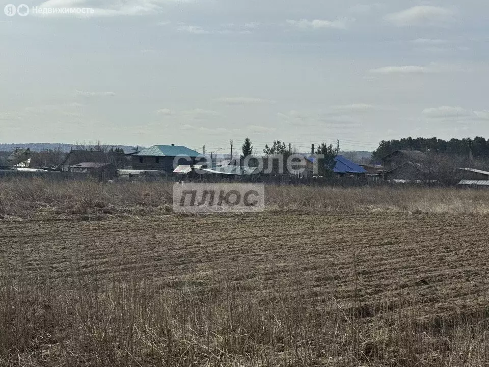 Участок в Иркутск, посёлок Вересовка (16 м) - Фото 2