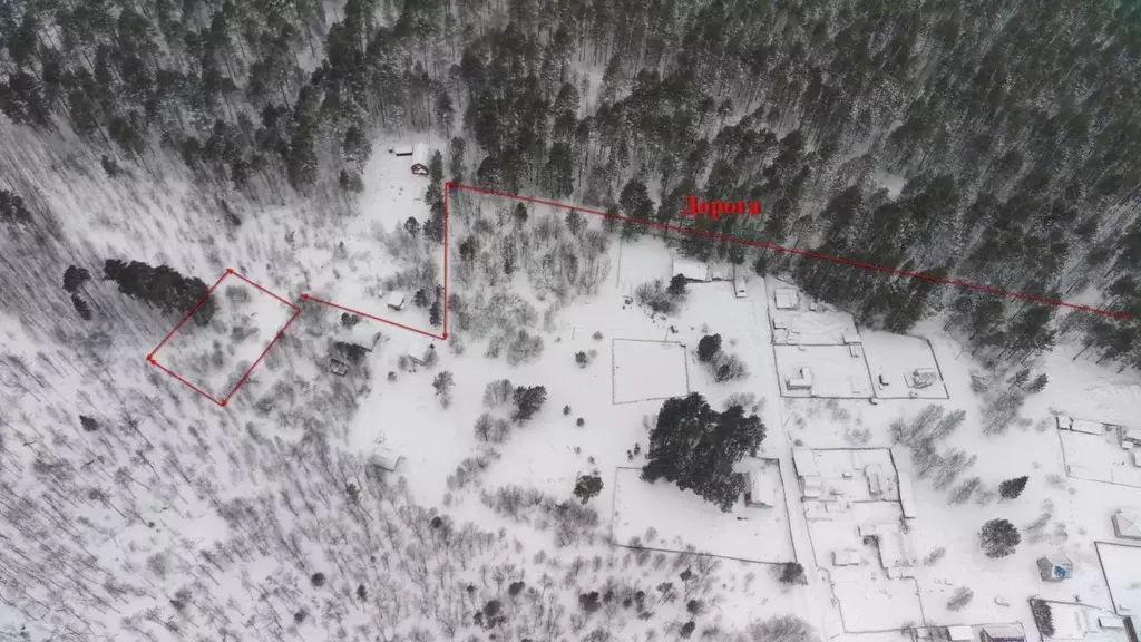 Участок в Томская область, Томский район, Лесная дача СНТ  (7.0 сот.) - Фото 1