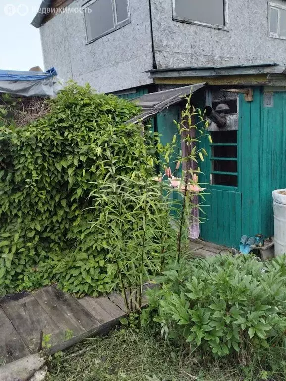Дом в Комсомольск-на-Амуре, СНТ Строитель (30 м) - Фото 0