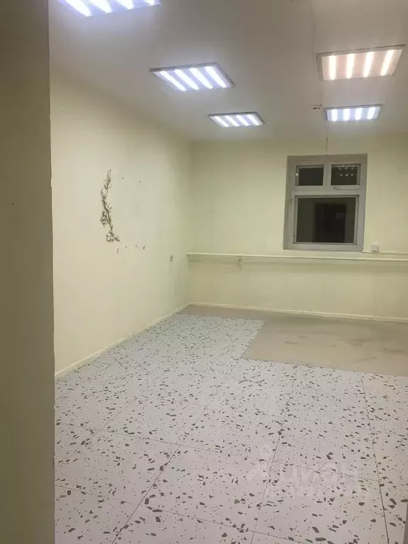 Офис в Иркутская область, Иркутск Донская ул., 24/1 (20 м) - Фото 2