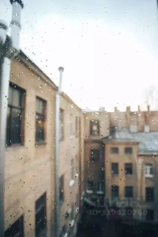 Комната Санкт-Петербург просп. Римского-Корсакова, 49 - Фото 1