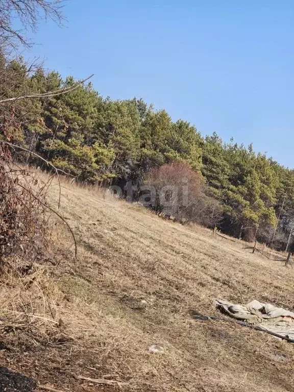 Дом в Амурская область, с. Тамбовка ул. Садовая (42 м) - Фото 0