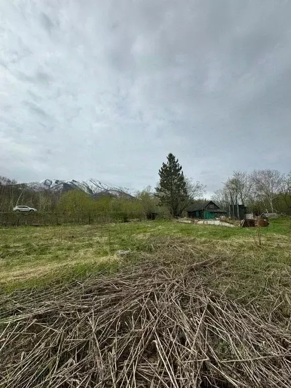 Участок в Камчатский край, Елизовский район, с. Южные Коряки Лесная ... - Фото 0