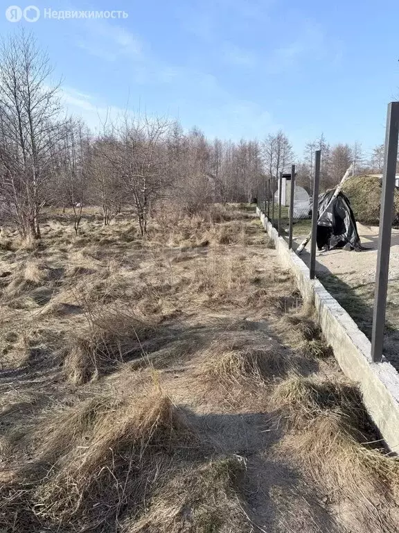 Участок в посёлок Лесное, Янтарная улица (6.76 м) - Фото 1